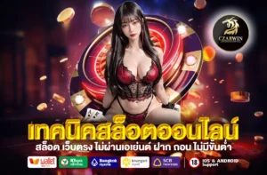 เทคนิคสล็อตออนไลน์